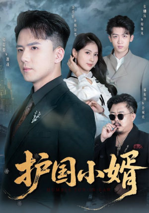 护国小婿（60集）爆款短剧热门推荐
