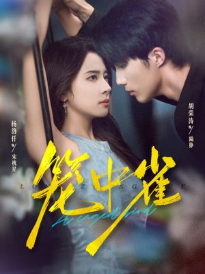 短剧《笼中雀》65集短剧超清画质全集免费观览