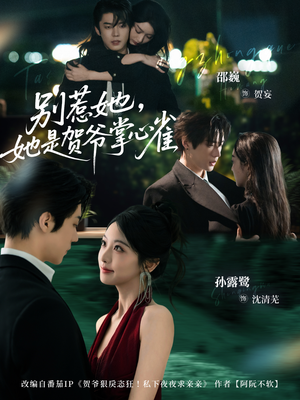 别惹她，她是贺爷掌心雀（69集）从开头一口气看到短剧大结局