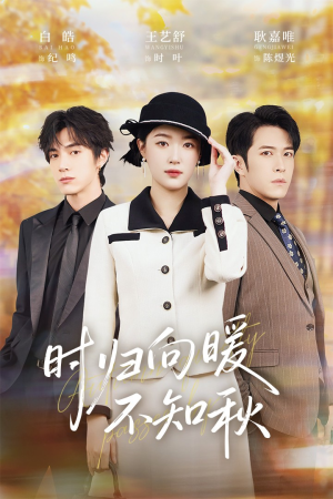 短剧《第二十八年冬》51集短剧超清画质在线秒看