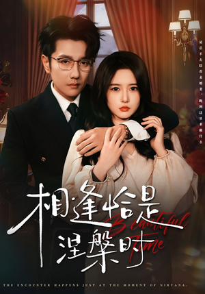 短剧《相逢恰是涅槃时》63集短剧高清画质免费畅看全集