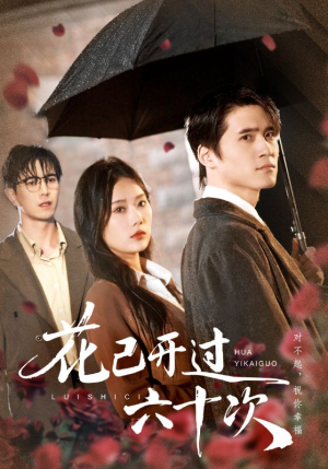 情敌交手她选择躺赢（72集）短剧全集大结局完整版