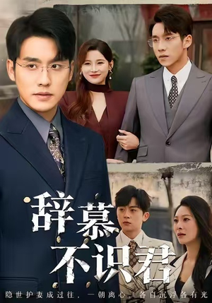 七年情深终成侮（77集）重生之追夫火葬场短剧