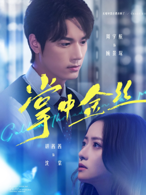 短剧《长姐她竟是隐藏大佬》60集短剧1080P高清在线免费看