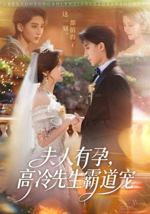 夫人有孕，高冷先生霸道宠（60集）全网最火爆的短剧