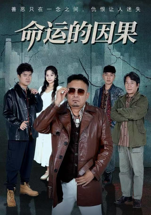 命运的因果（60集）好评如潮的排行榜前十短剧