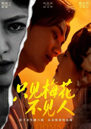 短剧《只见梅花不见人》63集短剧1080P超清画质在线畅看