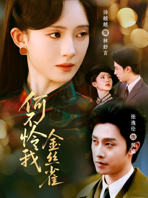 何不怜我金丝雀（60集） 每天分享精彩短剧