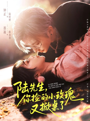 陆先生，你捡的小玫瑰又掀桌了（74集）免费的短剧资源大全