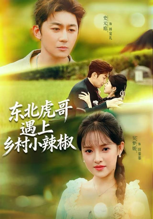 东北虎哥遇上乡村小辣椒（67集）最新短剧热门推荐