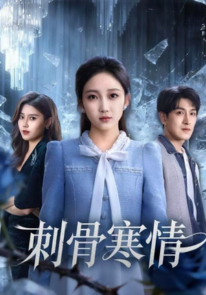 短剧《刺骨寒情》58集短剧超清画质免费畅享看