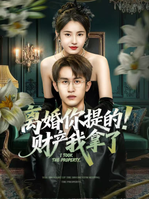 短剧《离婚你提的！财产我拿了》63集短剧1080P超清免费看全集