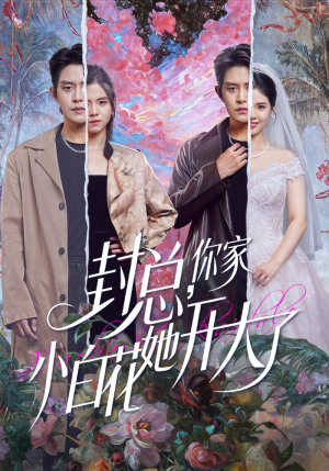 短剧《大佬你的牙粘口红了》60集短剧全集免费一键观看