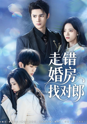 短剧《走错婚房找对郎》50集短剧无广告免费全集看