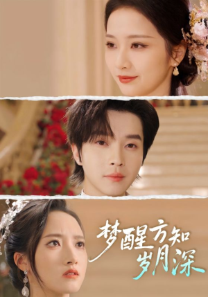 短剧《梦醒时你在我身侧》80集短剧超清画质畅享全集观看