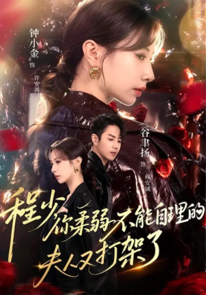 短剧《程少你柔弱不能自理的夫人又打架了》60集短剧无广告全集免费观