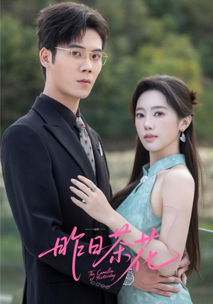 昨日茶花（56集）分享短剧每天更新