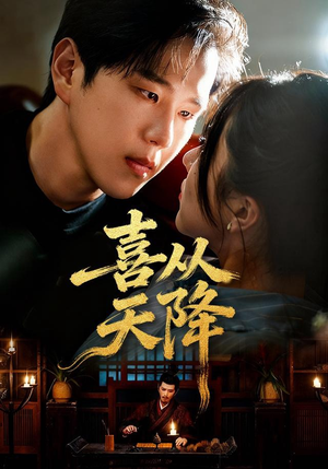 短剧《喜从天降》50集短剧超清画质全集免费看