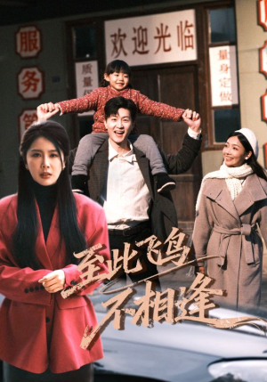 至此飞鸟不相逢（70集）剧好看短剧推荐