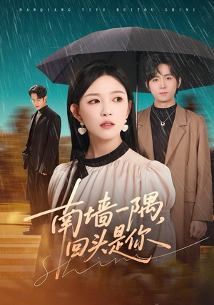 南墙一隅，回头是你（61集）最火爆短剧正在热播