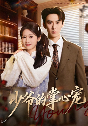 短剧《少爷的掌心宠》80集短剧超清无卡顿在线观看