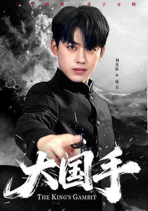 短剧《大国手》76集短剧超清画质在线观看无压力