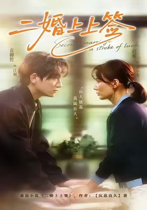 二婚上上签（71集）一口气追完短剧
