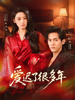 短剧《爱迟了很多年》73集短剧1080P高清免费追剧