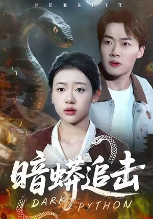 短剧《暗蟒追击》35集短剧在线看全集不卡顿