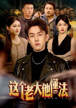 这个老大他懂法（100集）真的太好看了短剧推荐