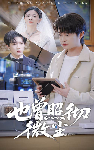 也曾照彻微尘（60集）热播短剧排行榜