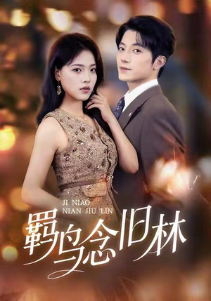 羁鸟念旧林（60集）在哪里可以看全集短剧