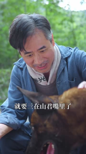 别惹我的狗（40集）在线免费观看排行榜前十短剧