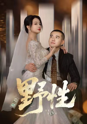 分手后，顶头上司要嫁我（70集）短剧全集VR沉浸版