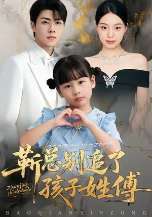 靳总别追了，孩子姓傅（51集）短剧排行榜前十名