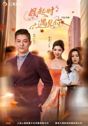短剧《风起时遇见你》59集短剧超清无删减版免费看