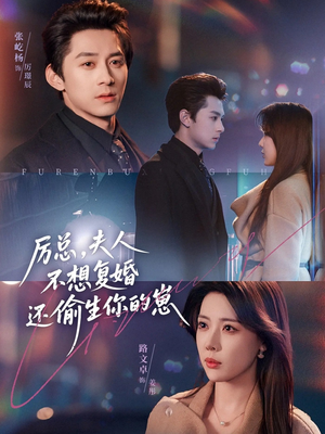 短剧《厉总，夫人不想复婚还偷生你的崽》80集短剧1080P画质在线看全集