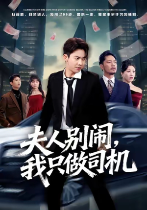 短剧《夫人别闹我只做司机》80集短剧全集高清在线速看