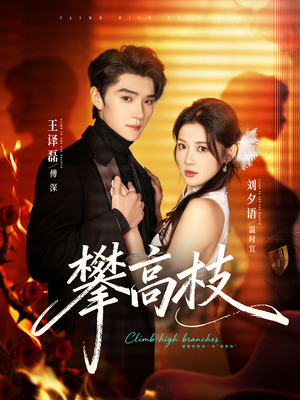攀高枝（70集）超好看古装短剧