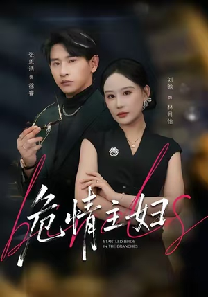 危情主妇（60集）比较好看的短剧推荐