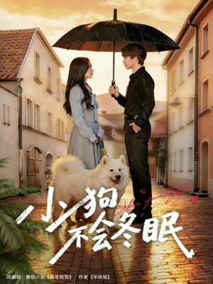 短剧《小狗不会冬眠》70集短剧超清画质全集观看