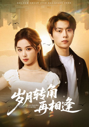 岁月转角再相逢（80集）热门免费短剧推荐