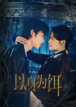 短剧《以身为饵》61集短剧免费看高清大结局