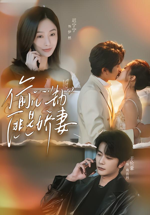 短剧《偷心劫匪是娇妻》61集短剧完整版在线畅快观看