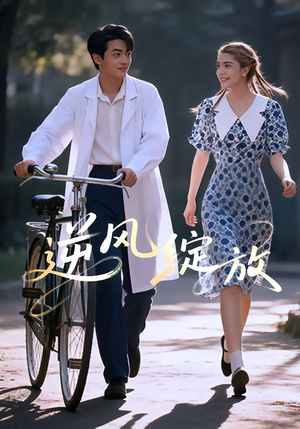 短剧《逆风绽放》55集短剧无广告全集免费观看