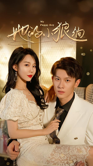 短剧《灿烂的风》60集短剧超清无删减全集观看