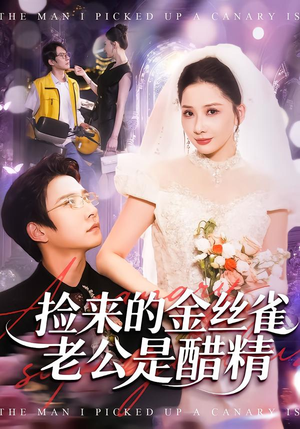 捡来的金丝雀老公是醋精（129集）好看又上头短剧
