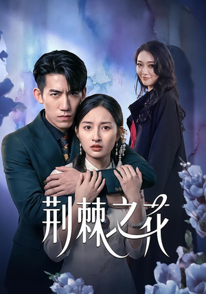 荆棘之花（100集）随时随地想看就看短剧