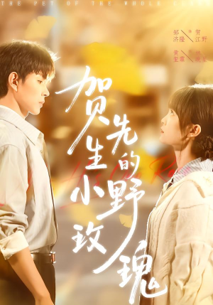 贺先生的小野玫瑰（99集）短剧高清画质免费体验