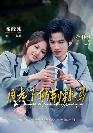 月光下的荆棘鸟（80集）新短剧推荐正在热播